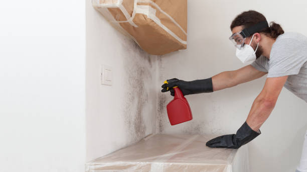 Professional Mold Removal technician working in Danvers, IL