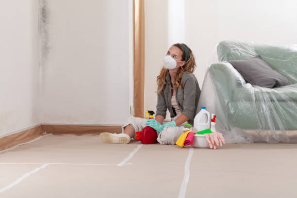 Reliable Mold Removal contractor in Danvers, IL by 24 Hour Mold Removal